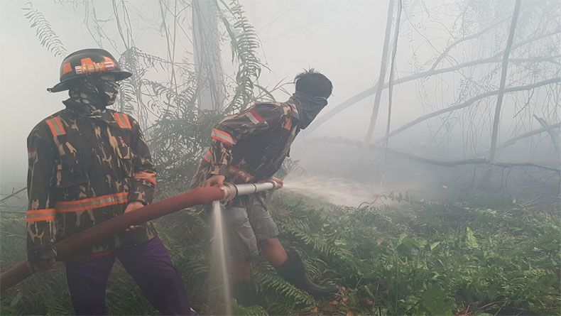 BNPB: 885 Titik Panas Terdeteksi di Kalbar, Terbanyak di Indonesia