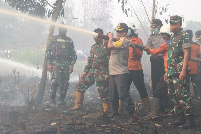 title 14 Orang Pembakar Hutan dan Lahan Ditahan Jajaran Polda Kalbar 14 Orang Pembakar Hutan dan Lahan Ditahan Jajaran Polda Kalbar