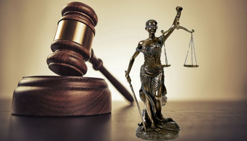 Terdakwa Kasus Pembalakan Liar di Ambon Divonis 2,5 Tahun Penjara