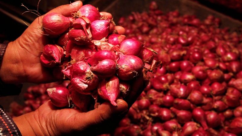 title Polisi Amankan 1,35 Ton Bawang Merah Selundupan asal Malaysia di Dumai Polisi Amankan 1,35 Ton Bawang Merah Selundupan asal Malaysia di Dumai