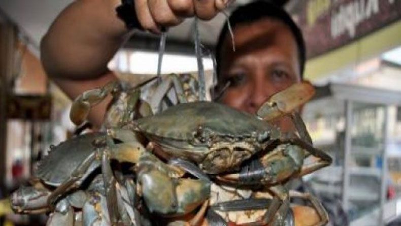 Kasus Kepiting Tetap Berlanjut, Tersangka Terancam Denda Rp250 Juta