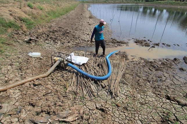 BPBD Jabar Nyatakan 22 Kabupaten/Kota Terdampak Kekeringan 