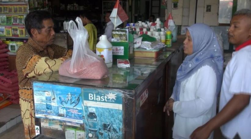 Dolar Naik Bikin Harga Pupuk di Jombang Melejit, Petani Resah