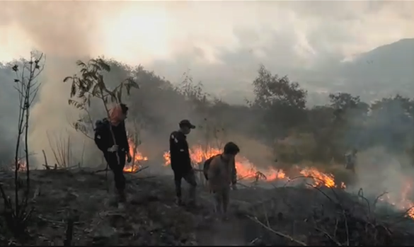 Kebakaran Gunung Sindoro Semakin Meluas, Api Belum Bisa Dipadamkan