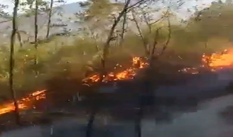 Hutan Gunung Lawu Kembali Terbakar, Jalur Pendakian Ditutup Sementara