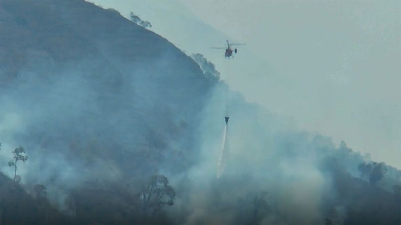 Kebakaran Gunung Sumbing Meluas Hingga ke Wonosobo, BNPB Kerahkan Heli