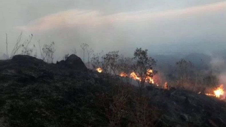 Kawasan Hutan Taman Nasional Gunung Ciremai Terbakar Bagian 1