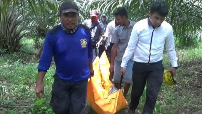 Mayat Wanita Ditemukan Membusuk di Kebun Sawit Lonsum Tanjung Morawa