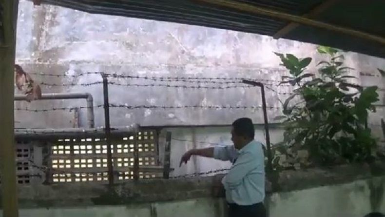 title Ajaib, Bayi yang Dilempar Ibunya dari Gedung Setinggi 12 Meter Selamat Ajaib, Bayi yang Dilempar Ibunya dari Gedung Setinggi 12 Meter Selamat