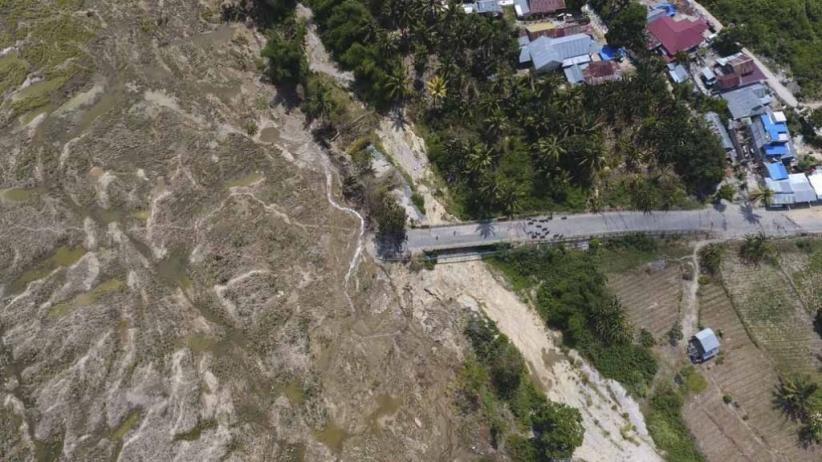 title Pascagempa, Desa Jono Oge di Sigi Berubah jadi Ladang Jagung Pascagempa, Desa Jono Oge di Sigi Berubah jadi Ladang Jagung