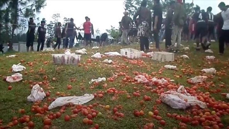 Meriahnya Perang Tomat Ratusan Warga Lereng Gunung Slamet Purbalingga