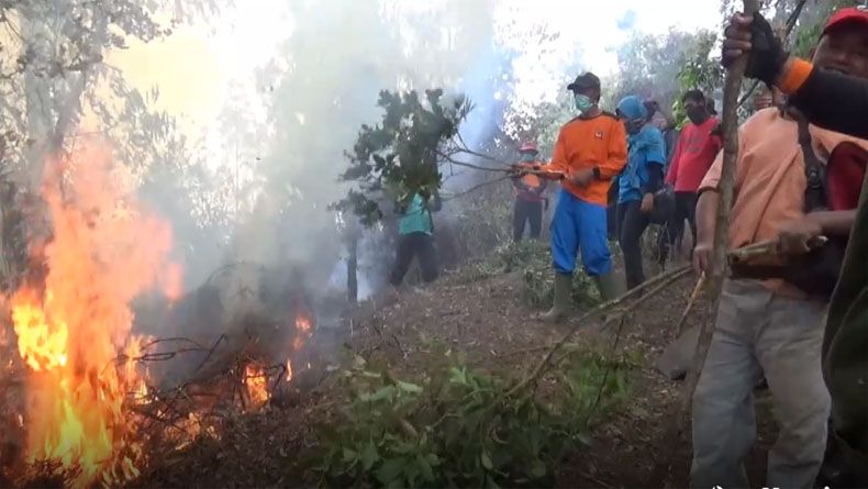 Kebakaran Hutan Gunung Merbabu, 100 Personel Gabungan Padamkan Api