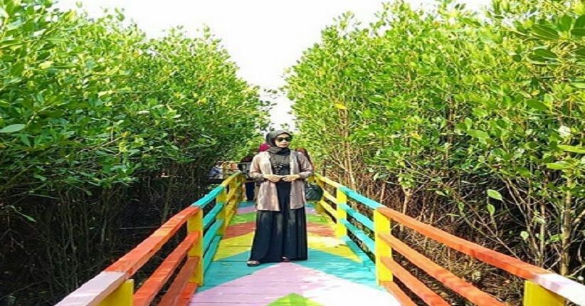 Wisata Banten Eksplor Mangrove Sambil Selfie Di Jembatan Pelangi