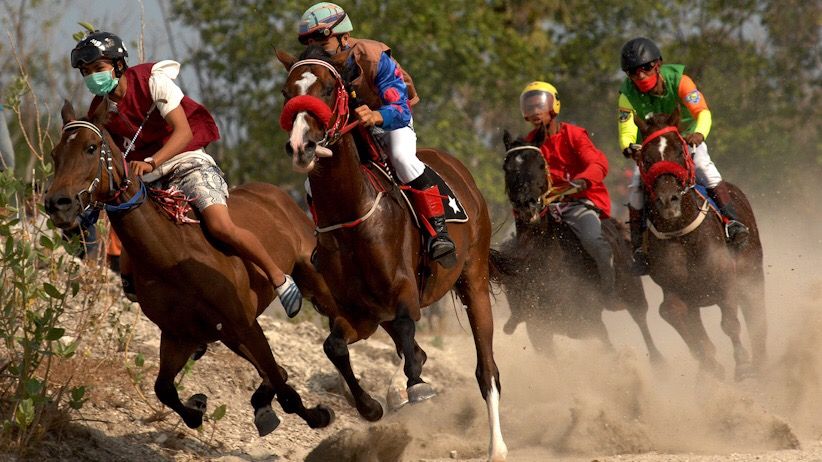 Lomba Pacuan Kuda Tradisional, Destinasi Wisata Jeneponto - Bagian 3