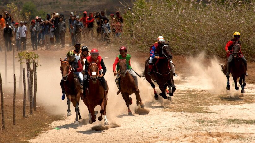 Lomba Pacuan Kuda Tradisional, Destinasi Wisata Jeneponto - Bagian 2