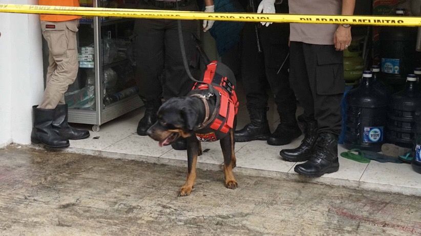 Polisi Kerahkan Anjing Pelacak Cari Pelaku Pembunuhan Sekeluarga - Bagian 4