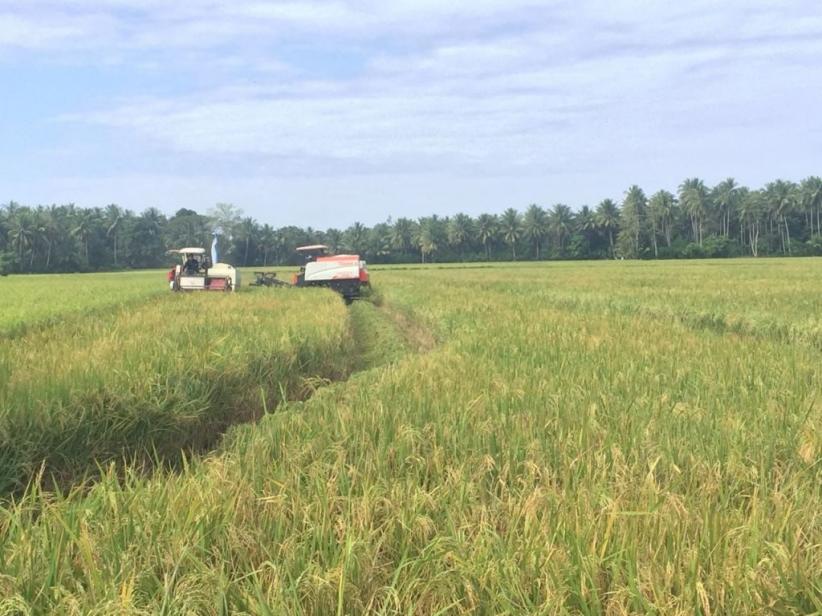 Pemprov Jatim Imbau Petani Waspadai Banjir dan Badai La Nina