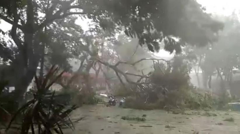 Angin Kencang Ekstrem Berkecepatan 60 Km per Jam Diprediksi Melintas di Pesisir Barat Sumbar