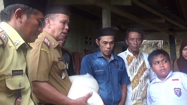 Sekeluarga di Palopo Diserang Kawanan Tawon, 1 Korban Tewas
