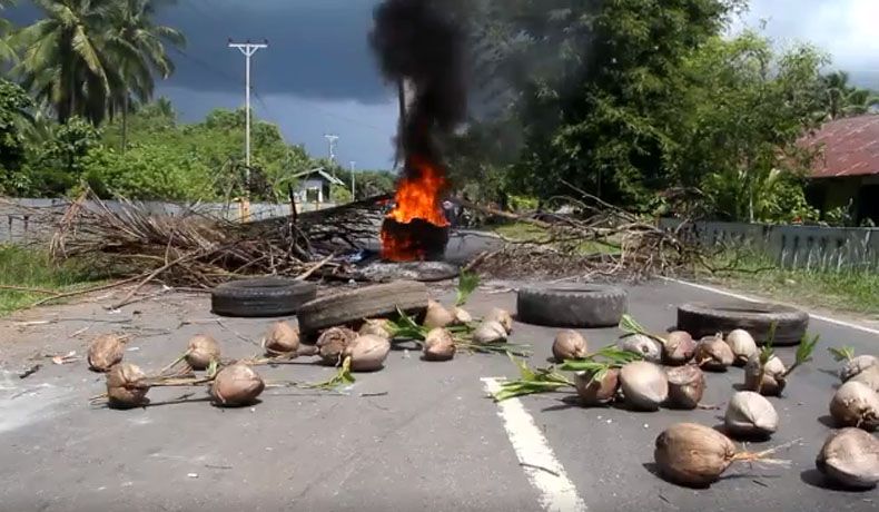 Harga Kopra Anjlok, Warga Blokade Jalan Utama di Halmahera Utara