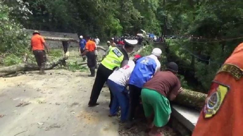 Lereng Gunung Gumitir Longsor, Akses Jember-Banyuwangi Terganggu