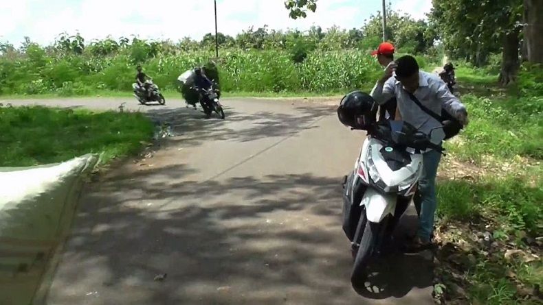 Ribuan Ulat Bulu Serang Pengguna Jalan di Bojonegoro