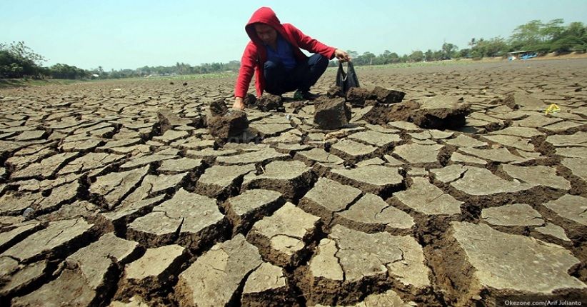 3 Kecamatan Di Maros Kekeringan Akibat Musim Kemarau, Sektor Pertanian ...