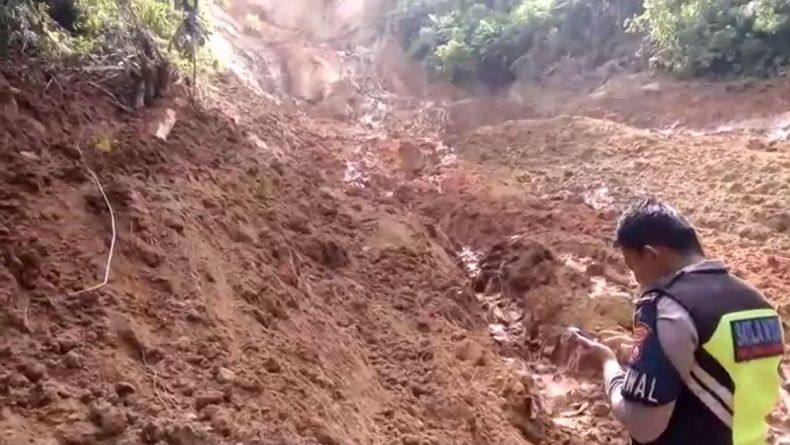 Longsor di Pinggir Danau Toba Diduga akibat Kondisi Hutan Mulai Gundul