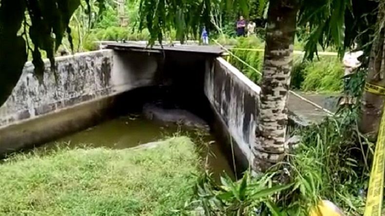 Tragis, Karyawati Ini Tewas Tercabik-cabik Diterkam Buaya di Minahasa