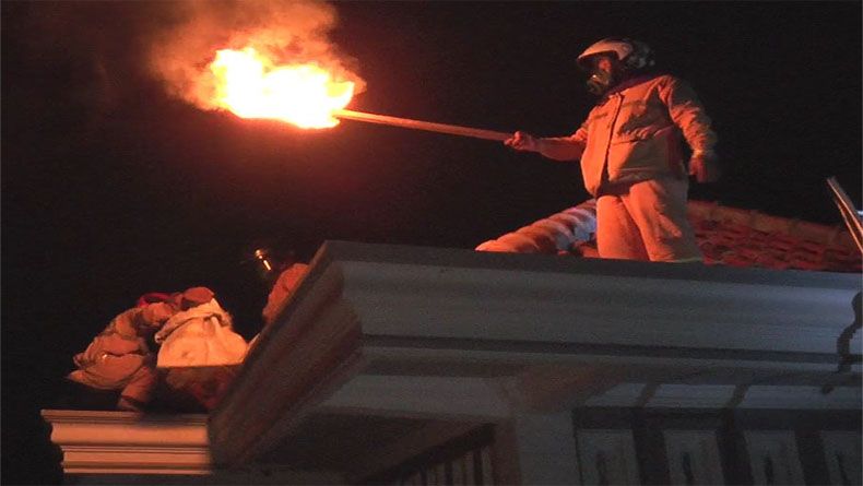 Bersihkan Sarang, Warga Kendal Masuk Rumah Sakit Disengat Lebah