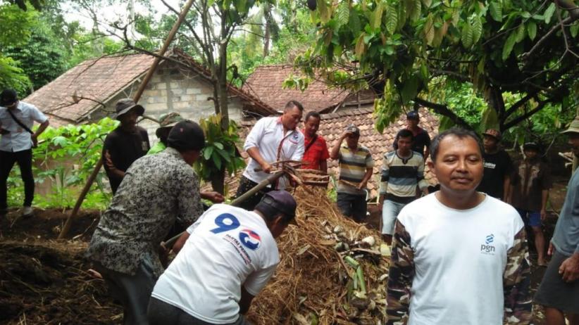 Kembangkan Pepaya Kalifornia, Perindo Dukung Kemandirian Ekonomi