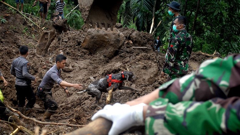 Satu Jasad Perempuan Ditemukan, Korban Longsor Gowa Kini 30 Jiwa
