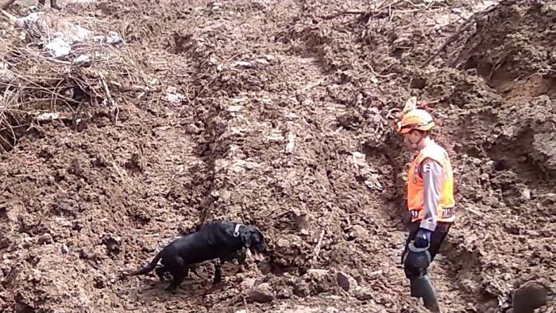 Longsor Tambang Bijih Timah di Bangka Tengah Babel, 4 Penambang Tertimbun