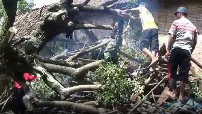 title 3 Desa di Tuban Diterjang Puting Beliung, 3 Rumah Roboh dan 25 Rusak 3 Desa di Tuban Diterjang Puting Beliung, 3 Rumah Roboh dan 25 Rusak
