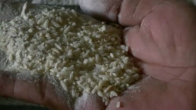 Miris, 6.000 Ton Beras Membusuk di Gudang Bulog OKU Sumsel