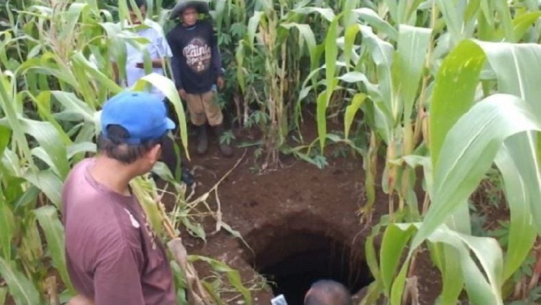 Warga Gunungkidul Dikejutkan Kemunculan Puluhan Lubang Misterius