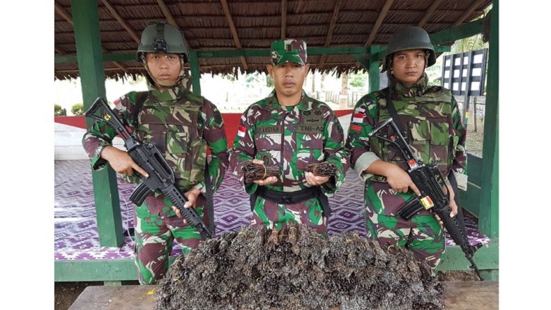 Prajurit Kostrad Amankan 21 Kg Vanili Ilegal di Perbatasan Papua