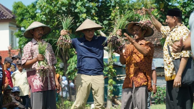 title Petani Bawang Curhat Selalu Rugi saat Panen, Sandi Janjikan Perubahan Petani Bawang Curhat Selalu Rugi saat Panen, Sandi Janjikan Perubahan