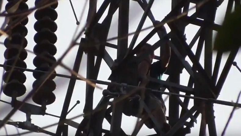 Nekat Lompat dari Tower Sutet di Batubara, Penderita Sakit Jiwa Tewas