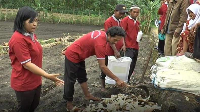 Caleg Perindo Ajarkan Teknik Pembuatan Pupuk Kompos ke Petani Grobogan
