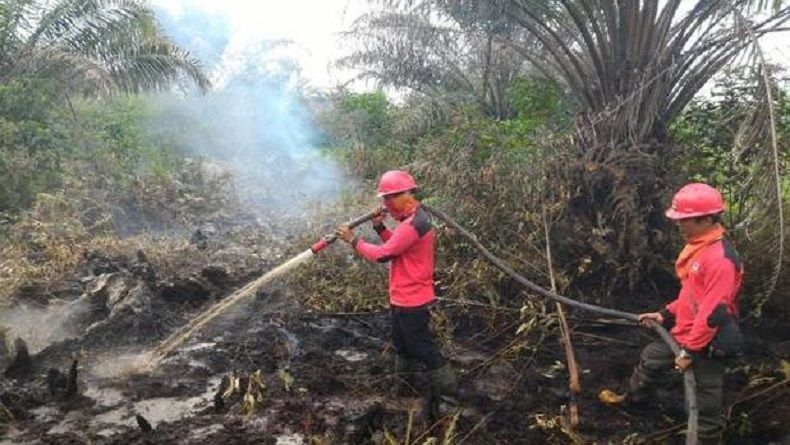 Cuaca Panas, Kebakaran di Riau Meluas hingga 841 Hektare