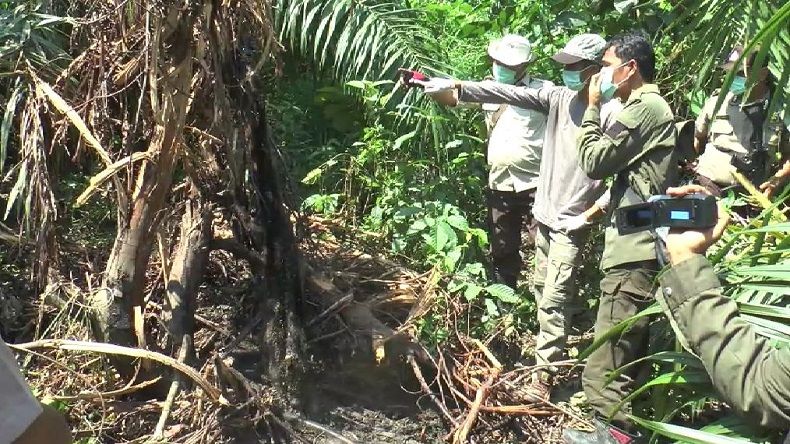 title Bangkai Beruang Madu Ditemukan Membusuk di Subulussalam Aceh Bangkai Beruang Madu Ditemukan Membusuk di Subulussalam Aceh