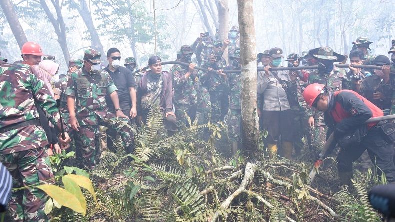 Pantau Karhutla di Riau, Panglima TNI Sebut Ada 3 Permasalahan