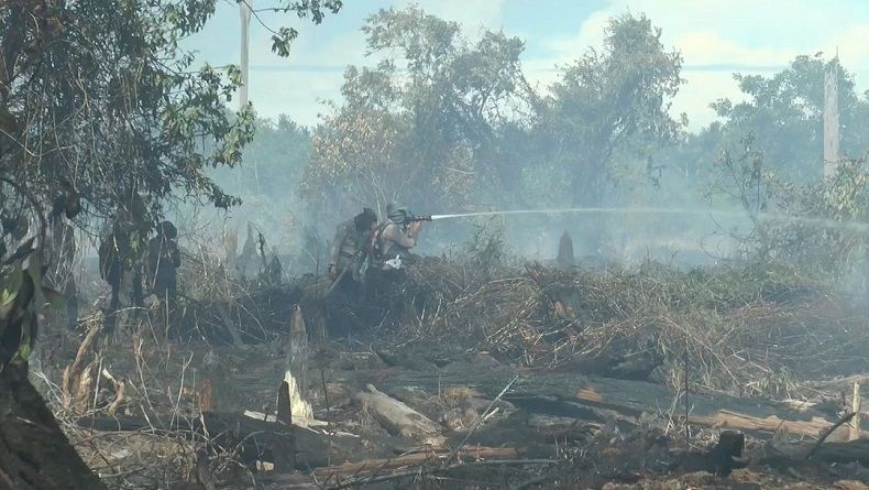 Gubernur Riau Instruksikan Bupati dan Wali Kota Dirikan Posko Karhutla