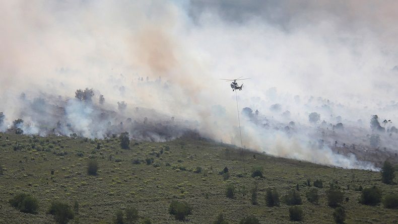 Ribuan Warga Riau Sakit akibat Asap dari Kebakaran Hutan dan Lahan