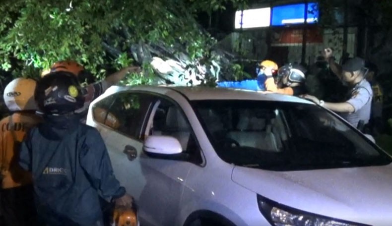 Angin Kencang Landa 5 Kecamatan di Sleman, 12 Luka-Luka Tertimpa Pohon