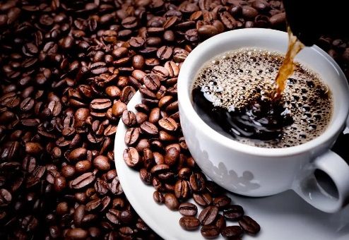 Maksimalkan Kebun Kopi, Pemerintah Revitalisasi Balai Latihan Kerja di