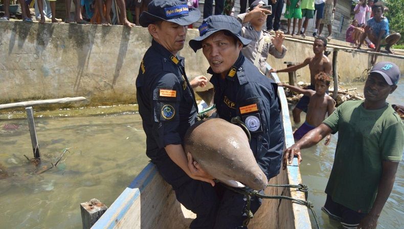 KKP Lepaskan Seekor Dugong di Penakaran Warga Sorong