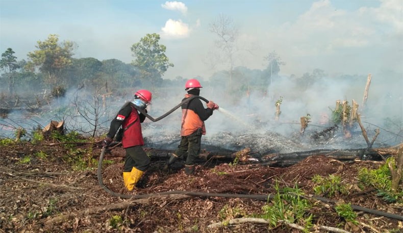 Masuki Awal Musim Kemarau, BNPB Minta Warga Siaga Antisipasi Karhutla
