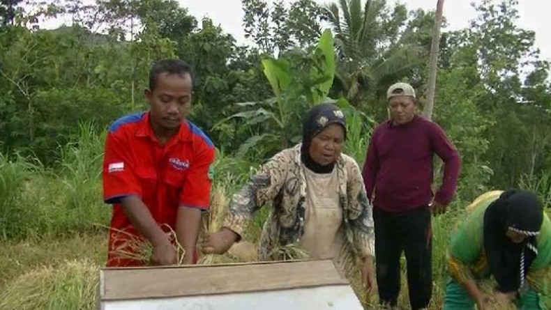 Gunakan Pupuk Organik Perindo, Panen Petani Gunungkidul Meningkat
